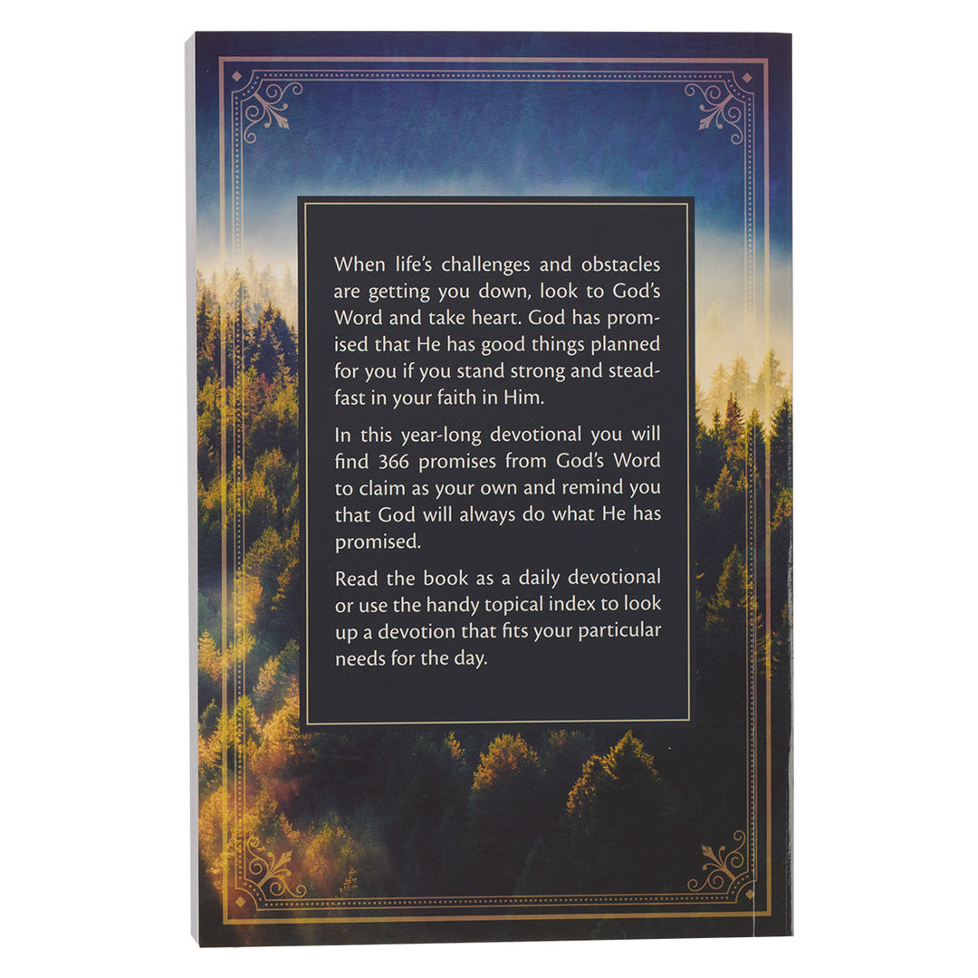 Be Strong And Steadfast (Paperback)